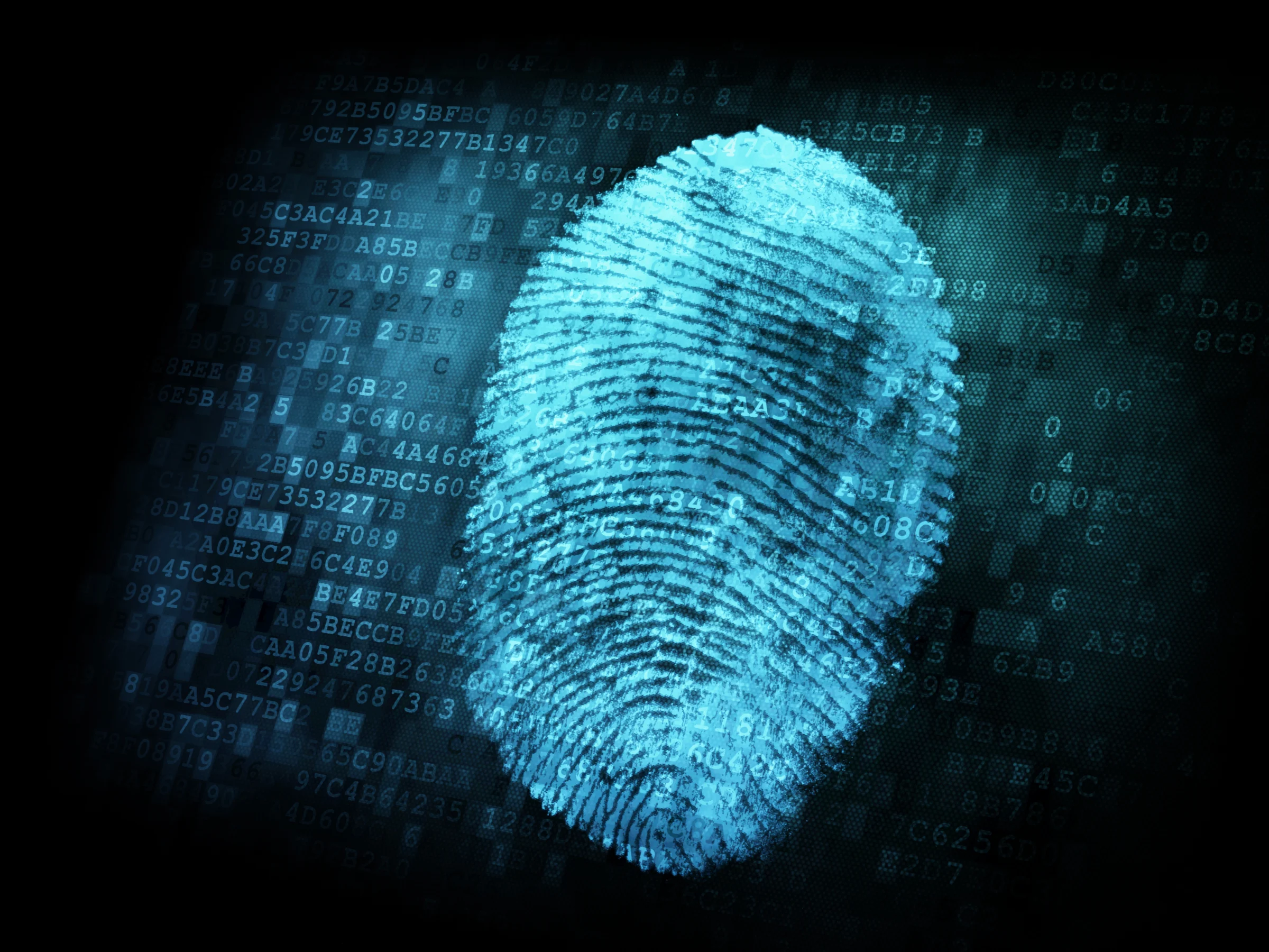 Digital Fingerprints