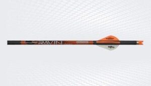 Generated ALT for Image ID 78895