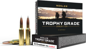 NOSLER TROPHY GRADE 6.5 CM - 140GR ACCUBOND 20RD 10BX/CS