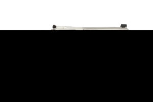 RUGER GP100 357MAG SS 5" HALF LUG